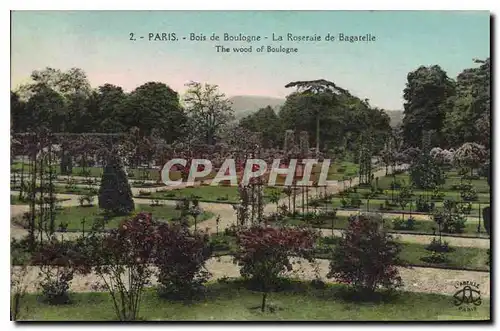 Cartes postales Paris Bois de Boulogne la Roserale de Bagatelle