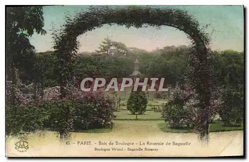 Cartes postales Paris Bois de Boulogne La Roseraie de Bagatelle