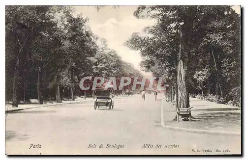 Ansichtskarte AK Paris Bois de Boulogne Allees des Acacias