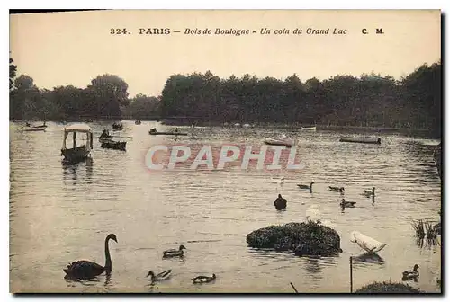 Cartes postales Paris Bois de Boulogne Un coin du Grand Lac