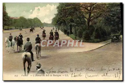 Cartes postales Paris L'Avenue du Bois de Boulogne Chevaux Cheval