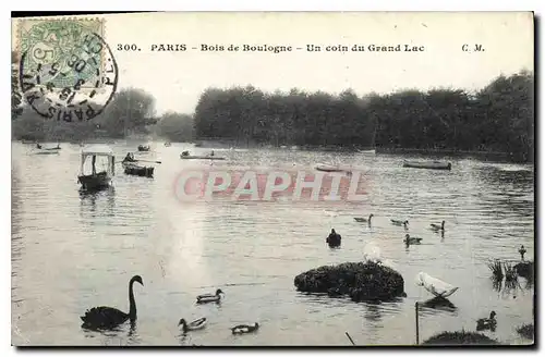 Ansichtskarte AK Paris Bois de Boulogne Un coin du Grand Lac