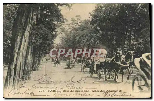 Ansichtskarte AK Paris Bois de Boulogne Allee des Acacias Chevaux