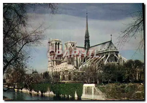 Cartes postales Paris Notre Dame