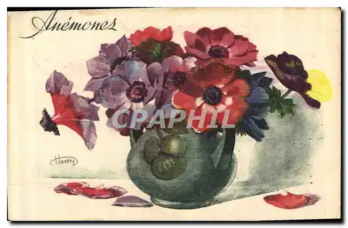 Cartes postales Anemones fleurs