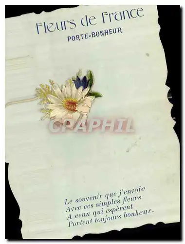 Cartes postales Fleurs de France Porte Bonheur Fleurs