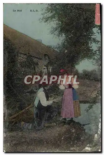 Cartes postales Le Nid