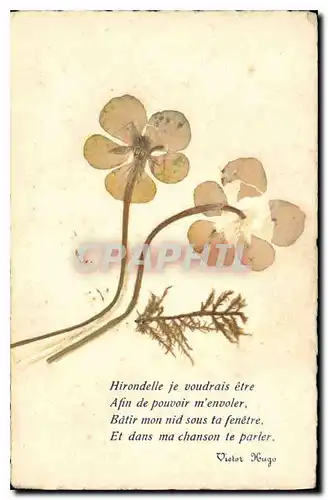 Cartes postales Hirondelle je voudrais etre fleurs sechees