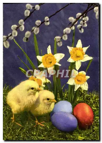 Cartes postales Fleurs Poussins