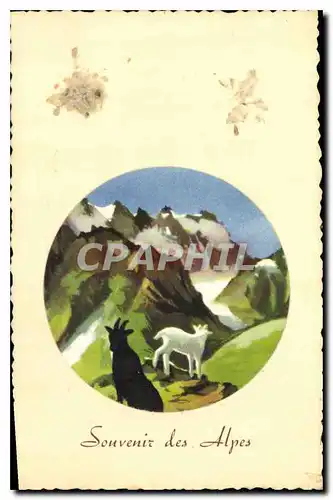 Ansichtskarte AK Souvenir des Alpes Chevre