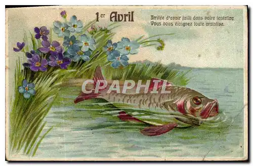 Cartes postales Poisson