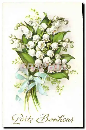 Cartes postales Porte Bonheur Fleurs