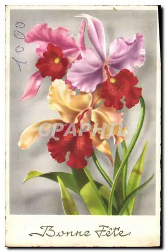 Cartes postales Bonne Fete Fleurs