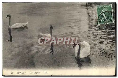 Cartes postales Annecy Les Cygnes