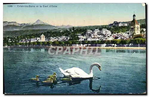 Cartes postales Evian les Bains et la Cent d'Oche