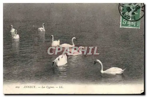 Cartes postales Annecy Les Cygnes