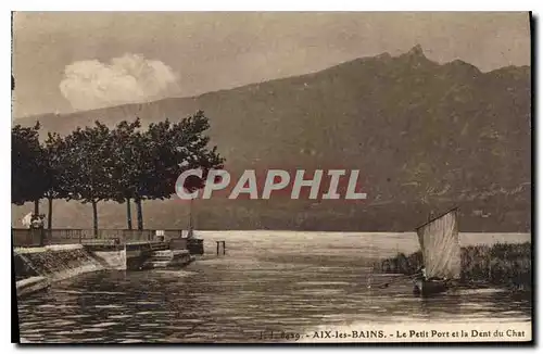 Cartes postales Aix les Bains Le Petit Port et la Dent du Chat