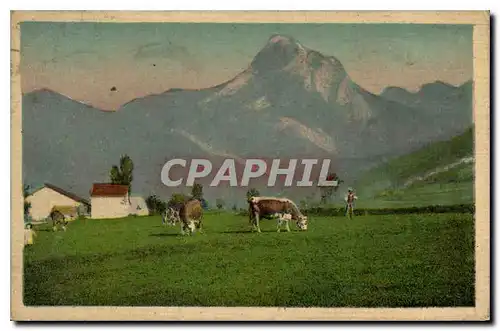 Cartes postales Thonon les Bains la dent d'Oche Vaches