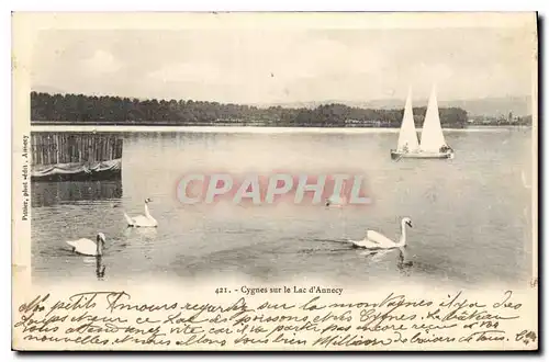 Ansichtskarte AK Cygnes sur le Lac d'Annecy