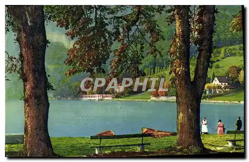 Cartes postales Lac d'Annecy Talloires Bord du Lac