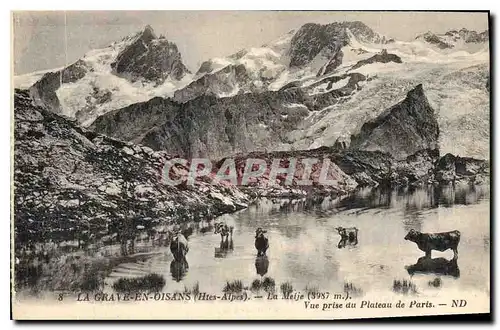 Cartes postales La Grave en Oisans Hautes Alpes La Meije Vue prise du Plateau de Paris Vaches