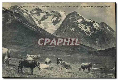 Cartes postales Dauphine Col du Lauteret Le Glacier de l'Homme et la Meije Vaches