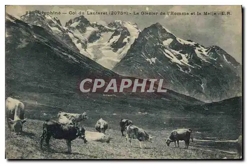 Ansichtskarte AK Dauphine Col du Lautaret Le Glacier de l'Homme et la Meije Vaches