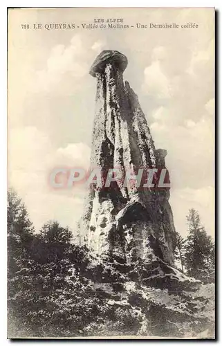 Cartes postales Les Alpes Le Queyras Vallee de Molines Une Demoiselle coi