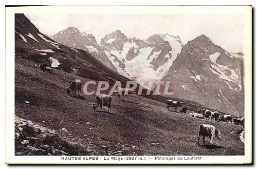 Ansichtskarte AK Hautes Alpes La Meije Paturages du Lautaret