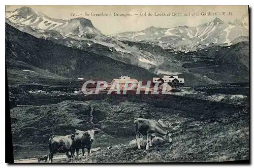 Ansichtskarte AK De Grenoble a Briancon Col du Lautaret et le Galibier Vaches