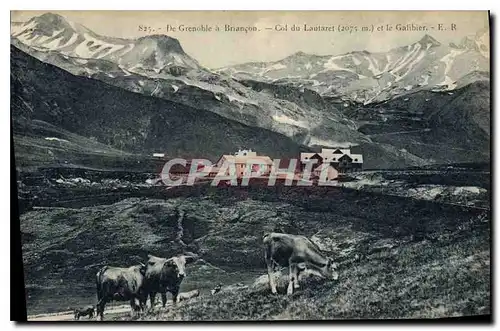 Cartes postales De Grenoble a Briancon Col du Lautaret et le Galibier Vaches
