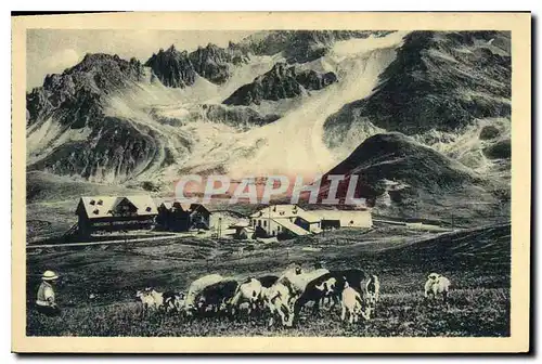 Cartes postales Le Lautaret les hotels et le Combeynot Vaches