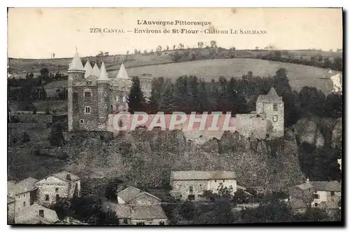 Cartes postales L'Auvergne Pittoresque Cantal Environs de St Flour chateau le Sailhans