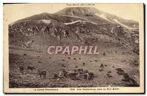 Ansichtskarte AK Le Cantal Pittoresque une Vacherie au Pied du Puy Mary