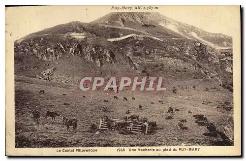 Cartes postales Le Cantal Pittoresque une Vacherie au Pied du Puy Mary