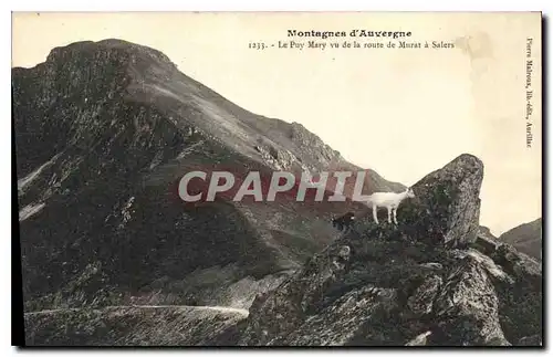 Cartes postales Montagnes d'Auvergne le Puy Mary vu de la Route de Murat a Salers Chevre