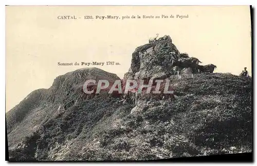 Ansichtskarte AK Cantal Puy Mary pres de la Route au Pas de Peyrol Chevre