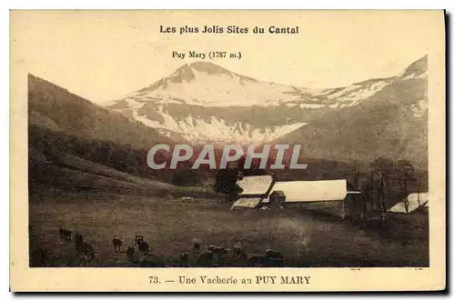 Cartes postales Les Plus Jolis Sites du Cantal Puy Mary une Vacherie au Puy Mary