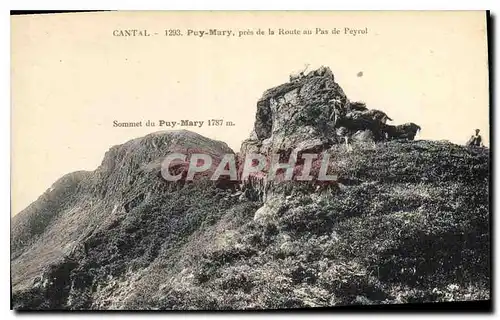 Ansichtskarte AK Cantal Puy Mary pres de la Route au pas de Peyrol Sommet du Puy Mary Chevre