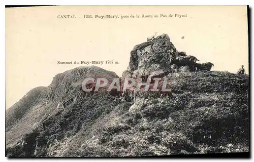 Cartes postales Cantal Puy Mary pres de la Route au pas de Peyrol Sommet du Puy Mary Chevre