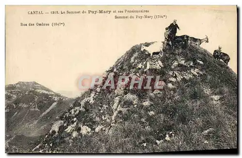 Cartes postales Cantal Le Sommet du Puy Mary et ses Pensionnaires Chevres