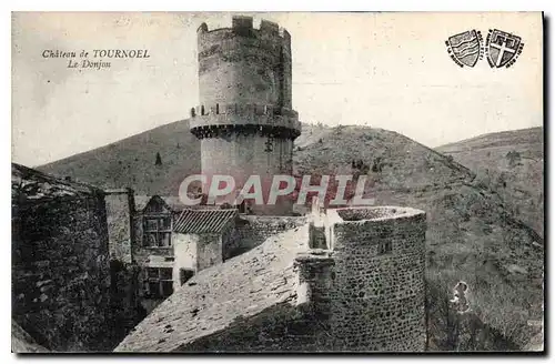 Cartes postales Chateau de Tournoel le Donjon