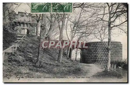 Cartes postales Chateau de Tournoel la Tour des Pins