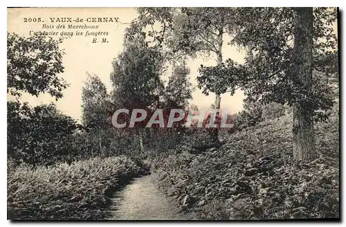 Ansichtskarte AK Vaux de Cernay Bois des Marechaux un Sentier dans les Fougeres