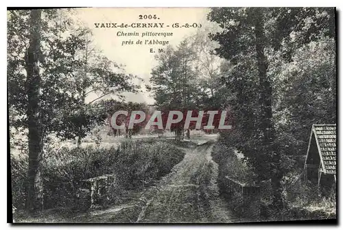 Ansichtskarte AK Vaux de Cernay S et O Chemin Pittoresque pres de l'Abbaye