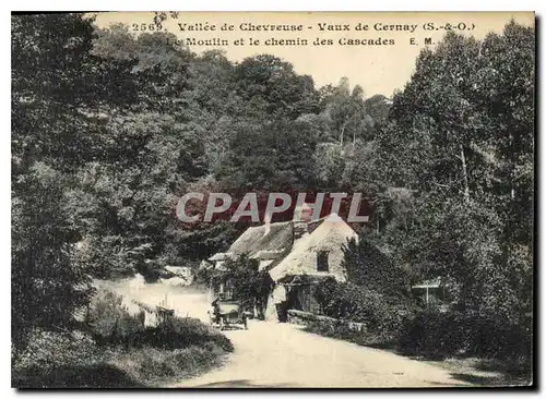 Cartes postales Vallee de Chevreuse Vaux de Cernay S et O Moulin et le Chemin des Cascades