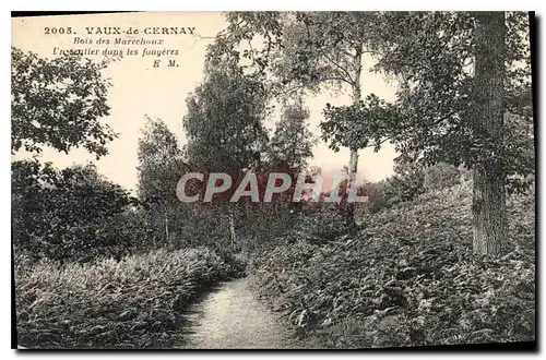 Ansichtskarte AK Vaux de Cernay Bois des Marechaux un Sentier dans les Fougeres