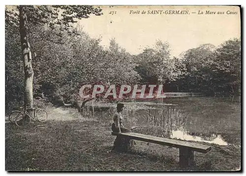 Cartes postales Foret de Saint Germain la Mare aux Canes