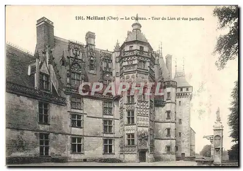 Cartes postales Meillant Cher le Chateau Tour du Lion et vue Partielle