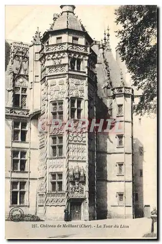 Cartes postales Chateau de Meillant Cher la Tour du Lion